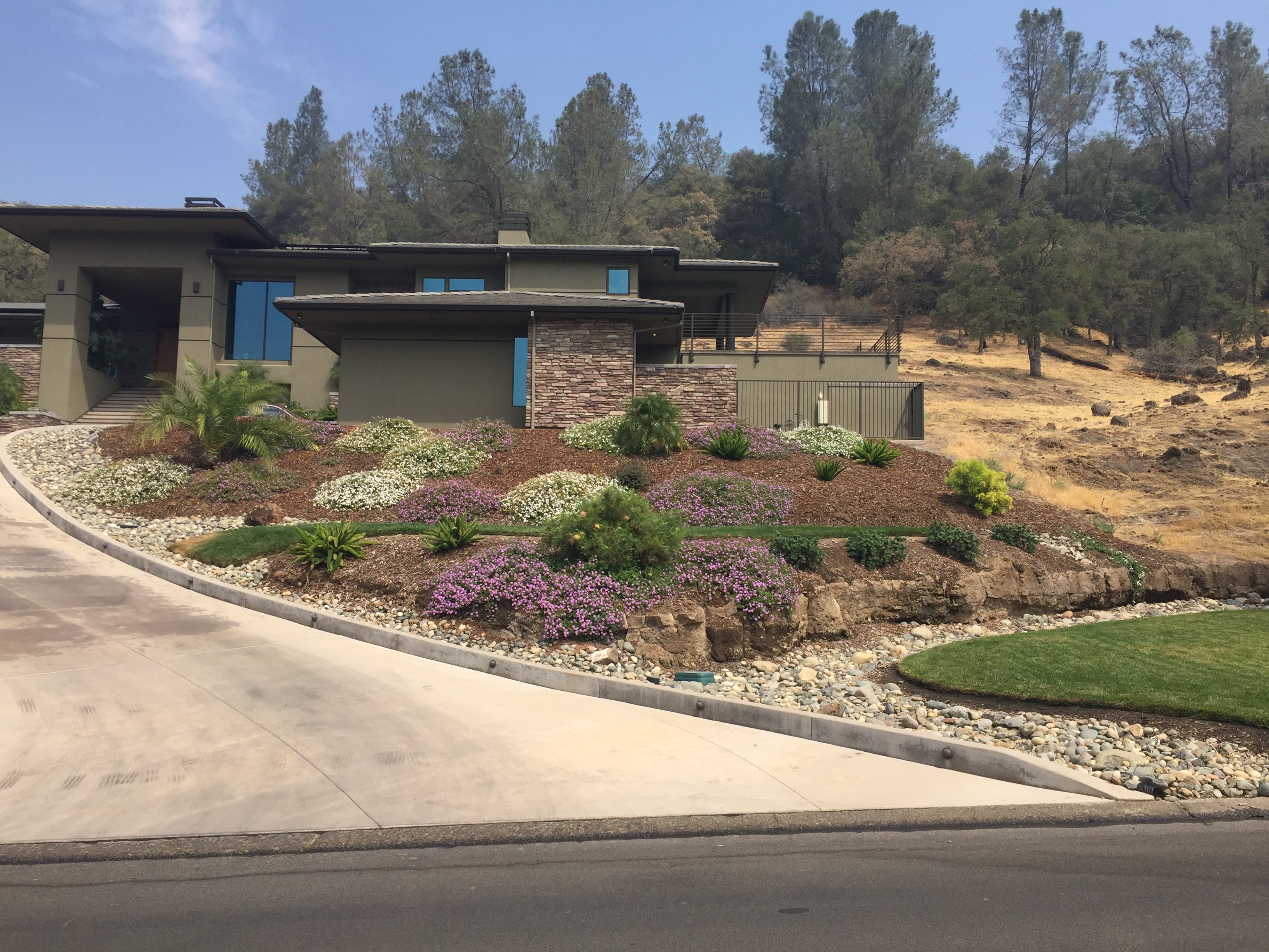 green house with drought friendly foliage and bark landscaping